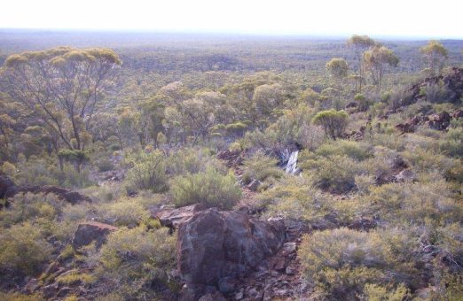 Conico meldet vielversprechende Kobalt-, Nickel- und Scandiumwerte von Mt Thirsty JV