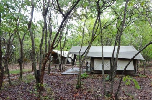 Tembo Gold meldet neue Entdeckung im Schatten von Barricks Bulyanhulu-Mine