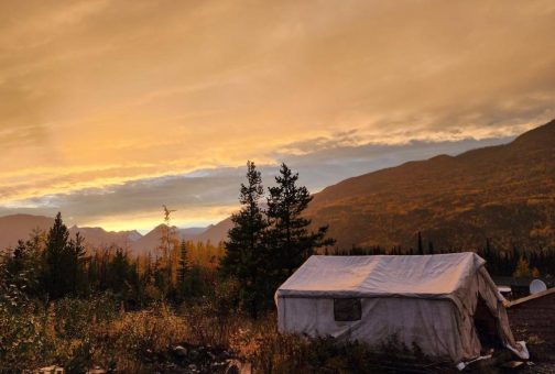 Brixton Metals erbohrt mehr als 300 Meter teils hochgradiger Goldvererzung!