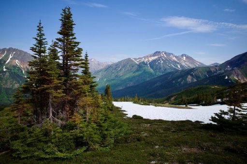 Brixton Metals: Durchgängige Goldvererzung über 262 Meter Länge erbohrt!