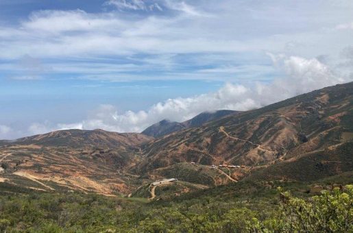 Element79 Gold: Mit intelligenter Strategie zum Erfolg in Nevada