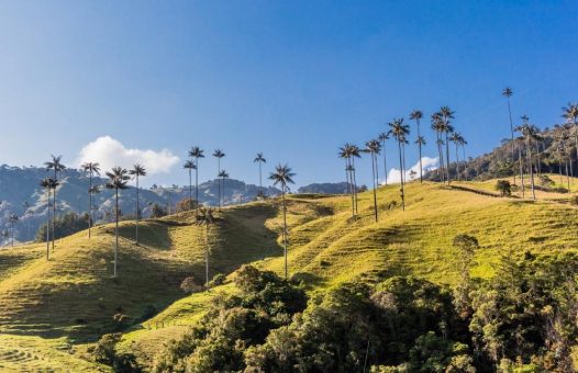 Max Resource: Erste acht Bohrungen auf Uru-Kupfer-Distrikt in Kolumbien abgeschlossen