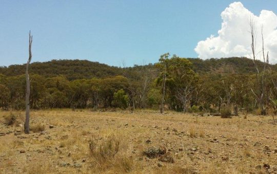 First Tin: Erste Bohrungen in Australien stoßen gleich auf sichtbares Zinnvererzung