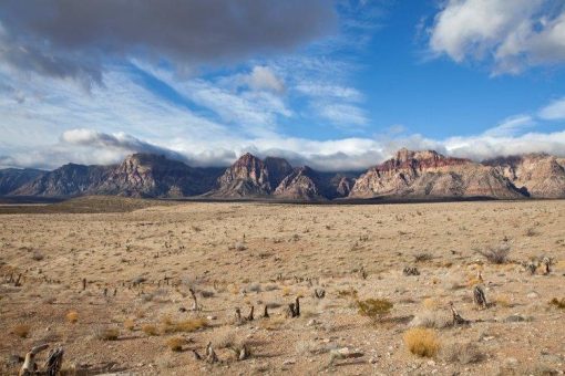 Rover Metals erwirbt Option auf Lithiumprojekt in Nevada mit bis zu 1.218 ppm Li!