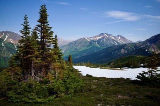 Brixton Metals: Großaktionär stockt Anteile auf