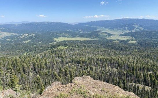 Analysten setzen bei Excellon auf Kilgore-Exploration und Silver City in Deutschland