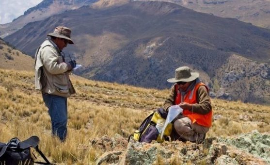 Forte Minerals: Das Kupferprojekt Esperanza ist ein Monster!