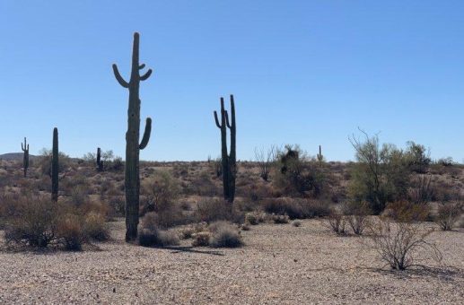 American Rare Earths: Bodenproben bestätigen Potenzial des La-Paz-Projekts