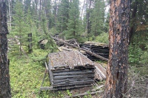 Searchlight Resources: Historische Goldbohrungen auf Robinson Creek erstmals digitalisiert