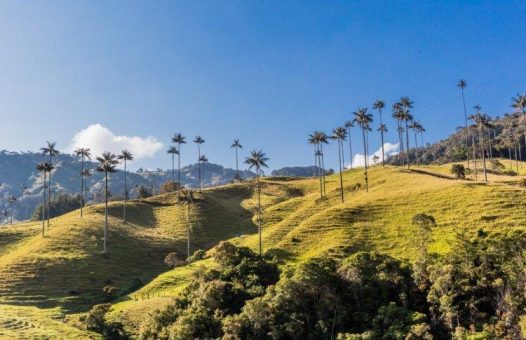 Max Resource vergleicht Kupfer in Kolumbien mit Sediment-Lagerstätten im Kongo
