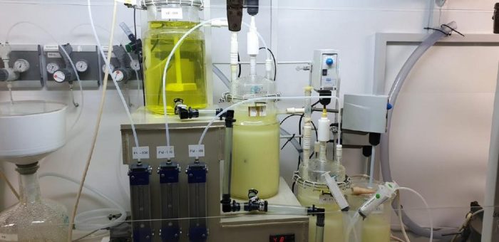 FYI Resources startet zweite Woche der Versuchsproduktion mit Alcoa