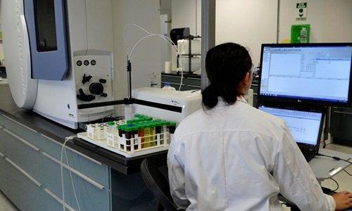 EnviroMetal Technologie liefert hohe Goldausbeute auf Rokmaster Projekt