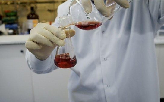 Cybin Inc. treibt präklinische Psychedelika-Studien voran