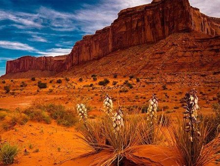 American Rare Earths: Chris Gibbs übernimmt ab 1. November das Steuer