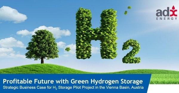 Grüne Kooperation: Wasserstoff aus Ökostrom