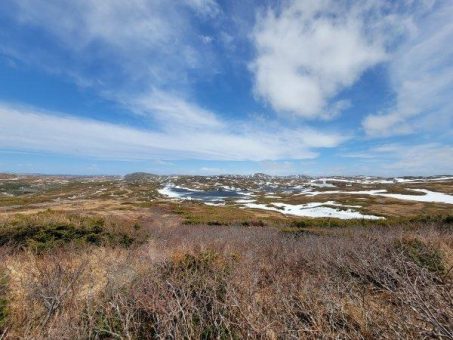 Matador Mining: Günstige Chance im Neufundland-Goldrausch dabei zu sein