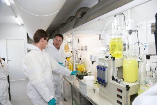 JV zwischen FYI Resources und Alcoa auf der Zielgeraden