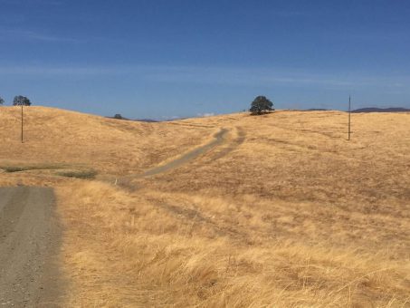 Blue Moon Metals will beenden, was die Majors in Kalifornien begonnen haben