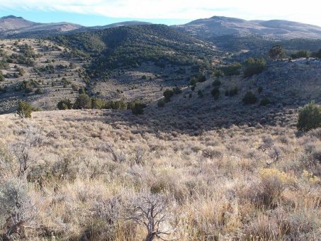 Excellon und Centerra beginnen mit Bohrungen auf Oakley in Idaho
