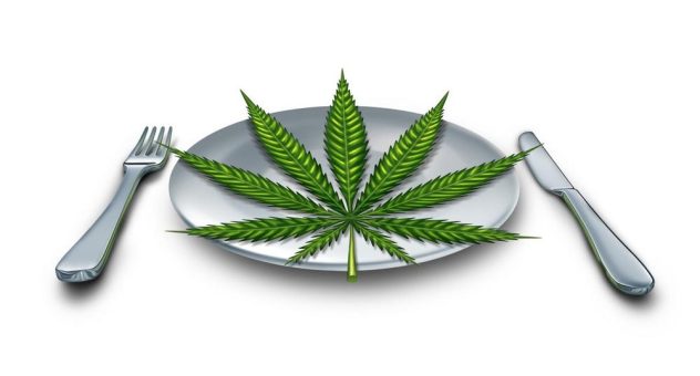 Pure Extracts startet Produktion von Cannabis-Edibles