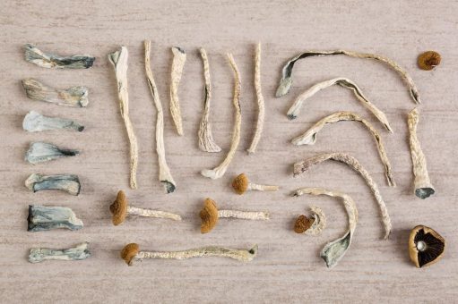 Pure Extracts legt Basis für den Eintritt in den Sektor der Psychedelika