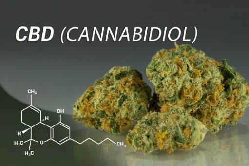 Pure Extracts: Erste kommerzielle Lieferung von CBD-Destillat vereinbart!