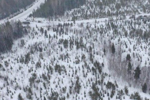 Portofino Resources: Vielversprechende Ergebnisse von South of Otter