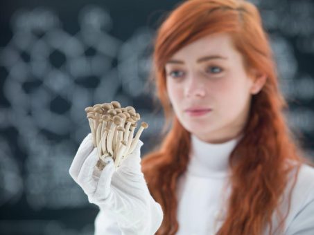 Pure Extracts: Health Canada könnte Zugang zu Psychedelika erleichtern