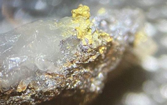 De Grey beobachtet erstmals sichtbares Gold in neuer Aquila-Ausdehnung!