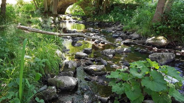 „Bedrohte Lebensquelle im Herzen Hessen“