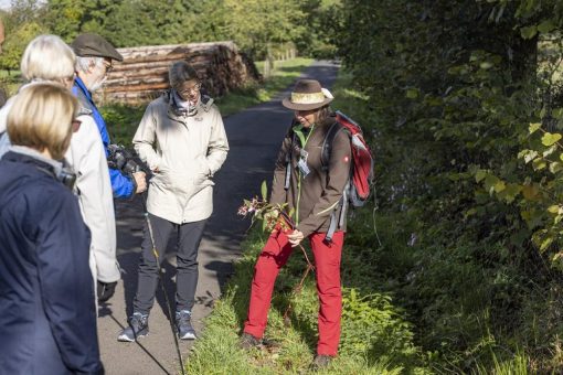 7. Hessischer Tag der Nachhaltigkeit:  Die Nachhaltigkeitsinitiative „Nähe ist gut“ informiert über das Naturwunder Bergmähwiesen im Vogelsberg