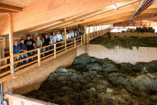 Bio-Heumilch Rhön-Vogelsberg: „Erste Etappe erfolgreich abgeschlossen – wir machen weiter!“
