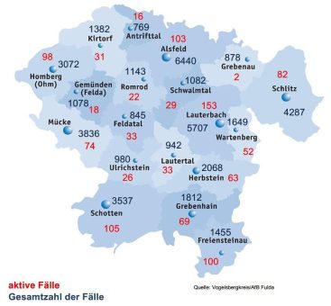 85 neue Corona-Fälle am Dienstag