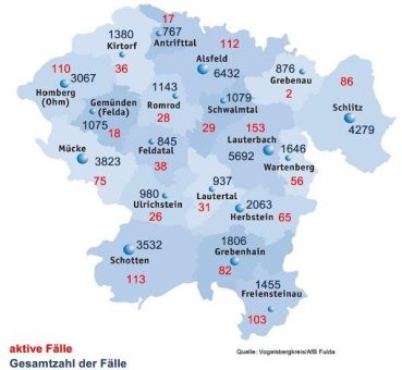 34 Neuinfektionen am Samstag