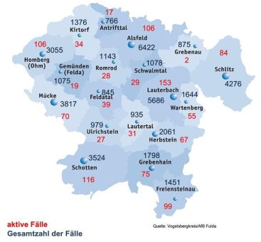 74 Neuinfektionen am Donnerstag