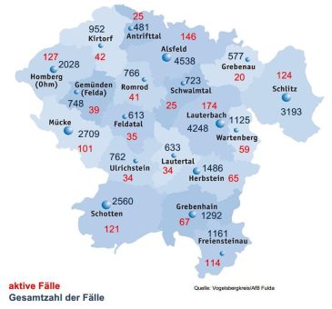 137 Neuinfektionen, 115 Genesene