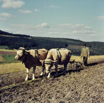 Bilder von bewegender Schönheit