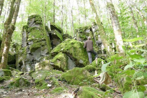 Der Vogelsberg ist ein kleiner Geheimtipp