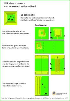 Jungwildrettung aus der „Luft“