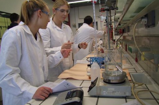 Fette, Proteine und Kohlendhydrate – ein chemischer Blick auf Lebensmittel