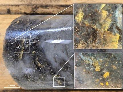 NexGold durchteuft 6,3 Meter mit 50,81 g/t Au, einschließlich 635 g/t Au auf 0,5 Metern, in einer Kernprobe mit sichtbarem Gold aus der C Zone East