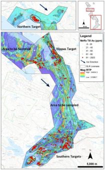 First Nordic identifiziert vier neue, mehrere Kilometer große Gold-Pfadfinder-Anomalien in seinem Projekt Storjuktan in Schweden