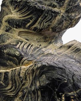 MINDSCAPE The Japanese Series, Thomas Neumann. Fotografie