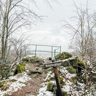 Wanderung zum Luchsgehege