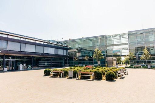 „Angewandte Künstliche Intelligenz“ im Master of Business Administration