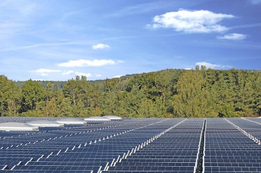Solarstrom vom grünen Flachdach – warum nicht?
