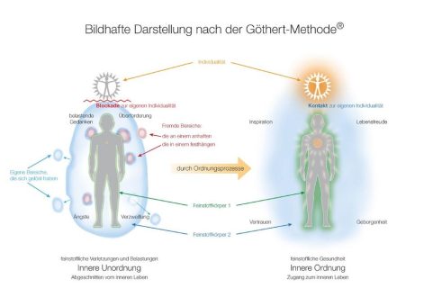 Resistent gegen Stress und Erschöpfung mit der Göthert-Methode – Wie der Feinstoffkörper unser Wohlbefinden beeinflusst
