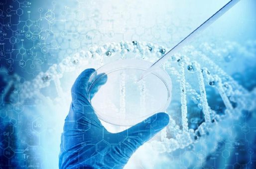 FireFly-KI-Tool soll Wirksamkeit von Hemostemix‘ ACP-01-Therapie bei Demenz objektiv prüfen