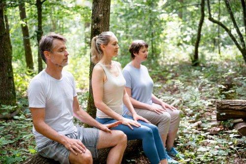 Premiere für die Bad Füssinger „WaldWochen“