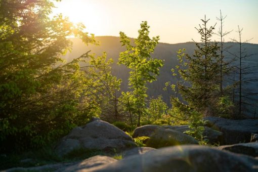 Wanderung zur Eckerstaumauer